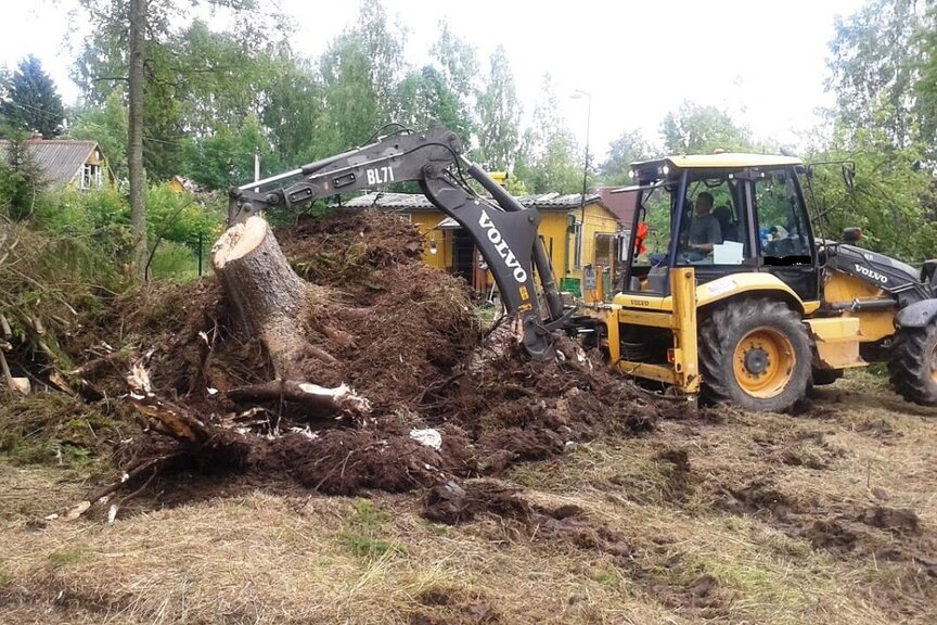 Расчистка с заполнением растительности участка от 60-100%